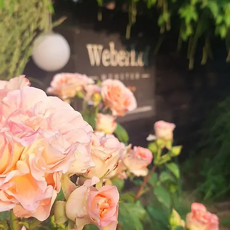Glamping Auf Dem Weberhof Luxussátor *