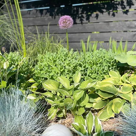 Οργανωμένο κάμπινγκ Glamping Auf Dem Weberhof *