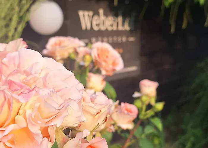 Glamping Auf Dem Weberhof Lyxtält *