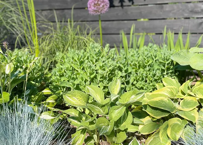 Luxe tent Glamping Auf Dem Weberhof *